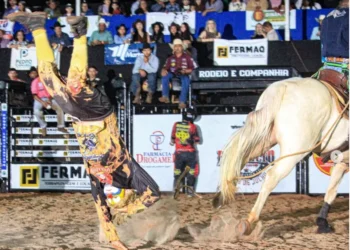 Sucesso Absoluto: Com recorde de público e “Zero Ocorrência”, 25ª Expoalto entra para a história de Pouso Alto