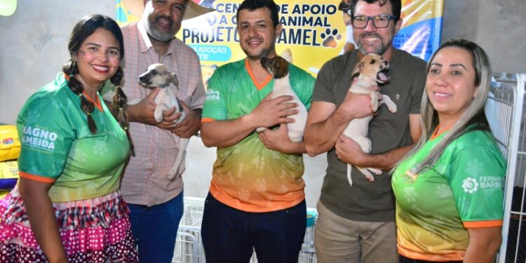 Causa Animal: 2ª Cão Junina promove adoções, lazer familiar e traça meta de arrecadar 800 kg de ração