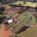 Vereador Magno Almeida solicita recursos federais para compra de estufas agrícolas e triturador em apoio a produtores de Costa Rica