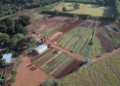 Fortalecimento do Campo: Horticultores do Cinturão Verde de Costa Rica participam de oficina do Sebrae e SEMAG para expandir produção sustentável