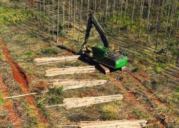 Arauco abre inscrições para o programa “Colheita de Talentos” com bolsa-auxílio em seis cidades de MS