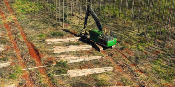 Arauco abre inscrições para o programa “Colheita de Talentos” com bolsa-auxílio em seis cidades de MS