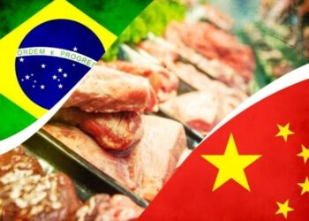 Pecuária em Alerta: Fim da cota anual da China para carne brasileira impõe taxa de 55% e força frigoríficos a frearem abates