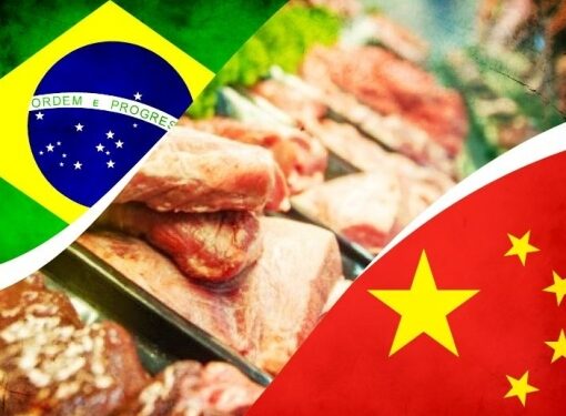 Pecuária em Alerta: Fim da cota anual da China para carne brasileira impõe taxa de 55% e força frigoríficos a frearem abates