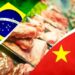 Pecuária em Alerta: Fim da cota anual da China para carne brasileira impõe taxa de 55% e força frigoríficos a frearem abates
