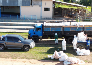 Sustentabilidade no Campo: Mutirão ecológico em Alcinópolis recolhe mais de 5,6 toneladas de embalagens de defensivos agrícolas