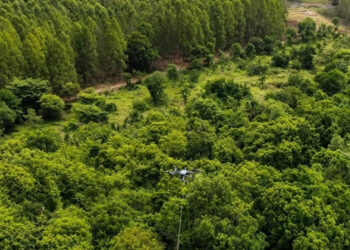 Arauco usa drones para instalar cabos de alta tensão e reduzir impacto ambiental em MS