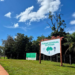 Arauco conclui dragagem de lago em parque de Campo Grande (MS)