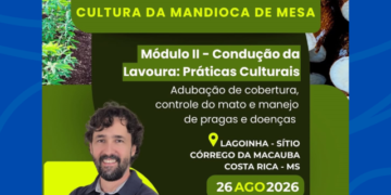 Costa Rica promove Módulo II de curso prático sobre manejo e cultivo da mandioca