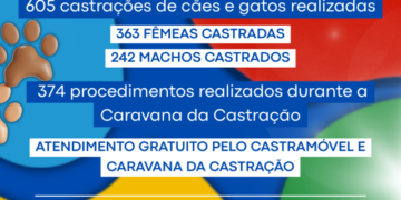 Costa Rica realiza 605 castrações gratuitas de cães e gatos no primeiro semestre de 2026