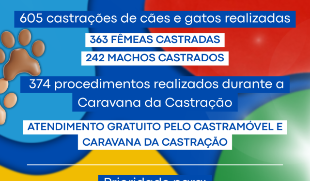 Costa Rica realiza 605 castrações gratuitas de cães e gatos no primeiro semestre de 2026