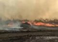 Super El Niño pode estender período de seca e elevar risco de incêndios em MS, alerta especialista