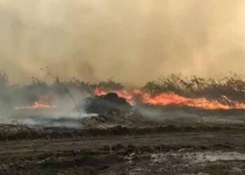 Super El Niño pode estender período de seca e elevar risco de incêndios em MS, alerta especialista