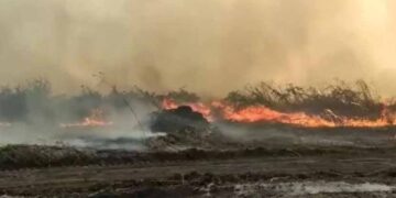 Super El Niño pode estender período de seca e elevar risco de incêndios em MS, alerta especialista