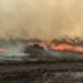 Super El Niño pode estender período de seca e elevar risco de incêndios em MS, alerta especialista