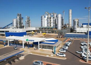 Suzano reporta EBITDA ajustado de R$ 4,7 bilhões no segundo trimestre de 2026