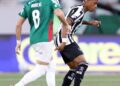 Palmeiras empata com o Botafogo no Rio e perde a liderança do Brasileirão