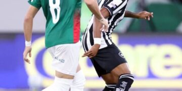 Palmeiras empata com o Botafogo no Rio e perde a liderança do Brasileirão