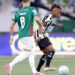 Palmeiras empata com o Botafogo no Rio e perde a liderança do Brasileirão