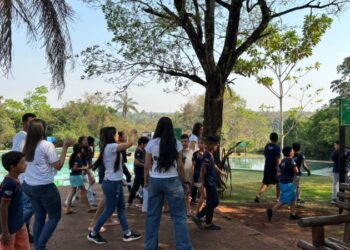 Meio ambiente e educação: Costa Rica celebra o Dia da Árvore com plantio de mudas e aula prática no Parque Salto do Sucuriú