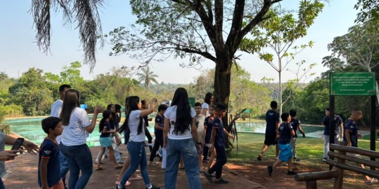 Meio ambiente e educação: Costa Rica celebra o Dia da Árvore com plantio de mudas e aula prática no Parque Salto do Sucuriú