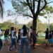 Meio ambiente e educação: Costa Rica celebra o Dia da Árvore com plantio de mudas e aula prática no Parque Salto do Sucuriú