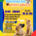 Saúde pública: Costa Rica mobiliza vacinação antirrábica para cães e gatos em três praças neste sábado (19)