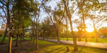 MS terá elevação das temperaturas nesta terça-feira após frio do feriado