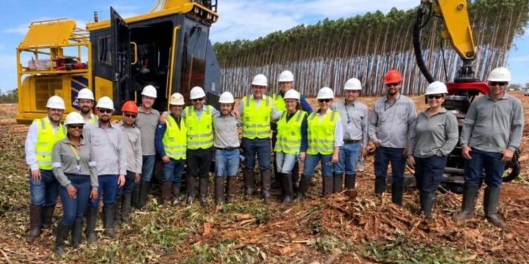 Suzano conclui primeira fase de teleoperação de harvester em ambiente operacional no Brasil