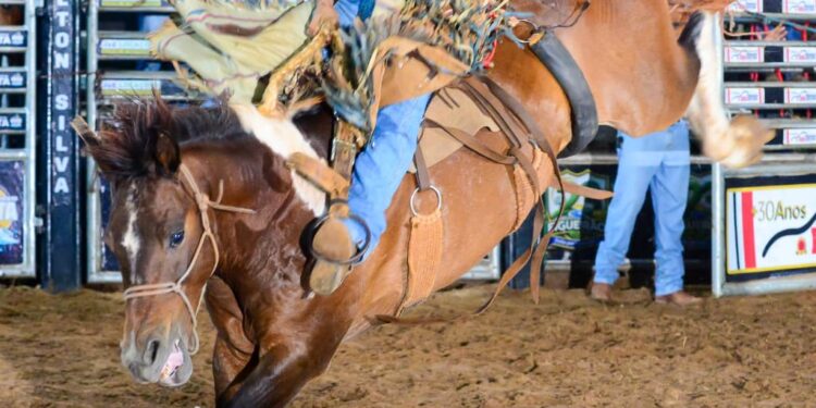 5º FIGUEIRÃO RODEIO FEST ENCERRA CINCO DIAS DE FESTA, TRADIÇÃO E GRANDES ATRAÇÕES EM FIGUEIRÃO