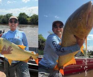 ‘ACHEI A BARRA DE OURO’: empresária coxinense fisga peixe dourado gigante de 18 kg em rio de Mato Grosso do Sul