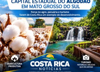 Costa Rica se consolida como capital do algodão em Mato Grosso do Sul e amplia protagonismo no agro e no turismo