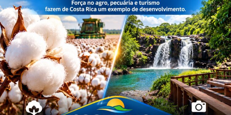 Costa Rica se consolida como capital do algodão em Mato Grosso do Sul e amplia protagonismo no agro e no turismo