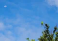 Sexta-feira terá calor, baixa umidade e chance de tempestades em MS