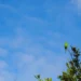 Sexta-feira terá calor, baixa umidade e chance de tempestades em MS