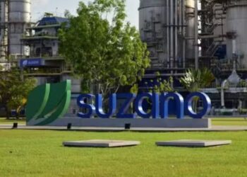 Empresa de celulose oferece 15 vagas de emprego em três municípios de MS