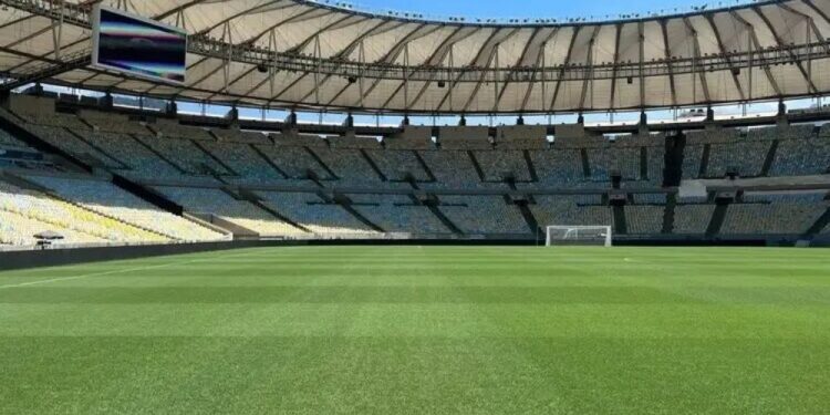 Brasileirão volta após Data Fifa com Flamengo e Palmeiras na ponta