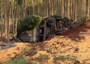 Caminhoneiro morre após carreta tombar na MS-338 entre Ribas do Rio Pardo e Camapuã