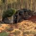 Caminhoneiro morre após carreta tombar na MS-338 entre Ribas do Rio Pardo e Camapuã
