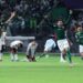 Carlos Miguel brilha nos pênaltis e coloca Palmeiras na final da Libertadores