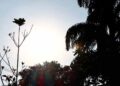 Sábado terá calor de 36°C e chance de tempestades pontuais em MS