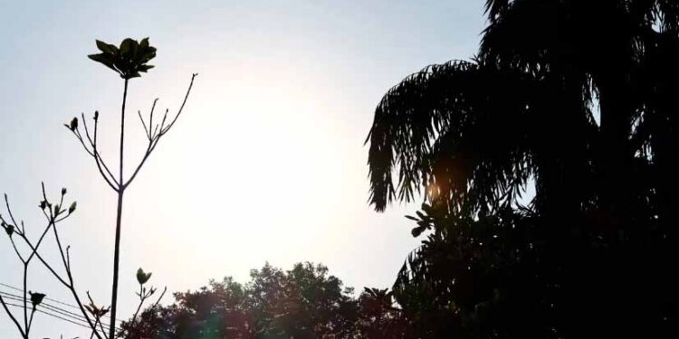 Sábado terá calor de 36°C e chance de tempestades pontuais em MS