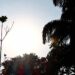 Sábado terá calor de 36°C e chance de tempestades pontuais em MS