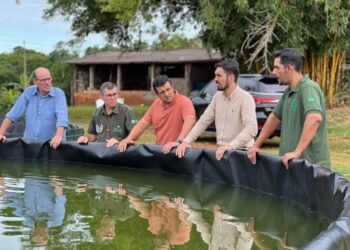 Intercâmbio técnico: Comitiva de Costa Rica visita Amambai para conhecer projetos de piscicultura e erva-mate