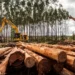 Suzano tem vagas abertas em três municípios de Mato Grosso do Sul