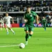 Palmeiras tropeça diante do Santos, São Paulo perde e Bragantino goleia na 33ª rodada do Brasileirão