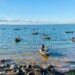 Torneio Tucuna Free movimenta Aparecida do Taboado com pesca esportiva, premiações e atrações musicais