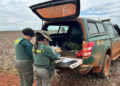 Fazendeiros são multados em quase R$ 900 mil por plantio de milho transgênico no entorno do Parque Nacional das Emas