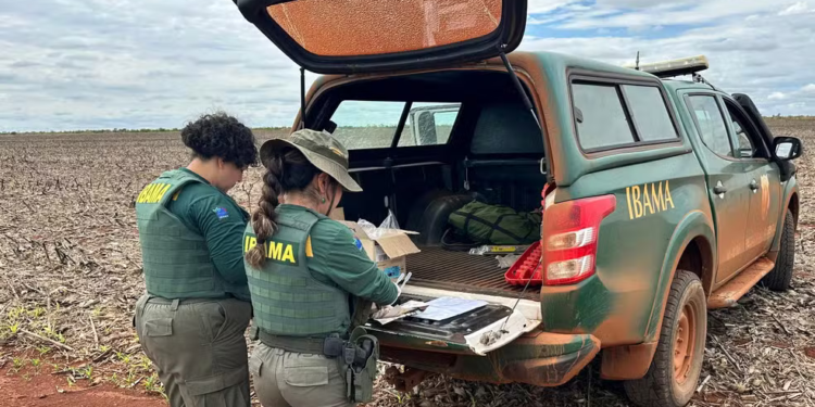 Fazendeiros são multados em quase R$ 900 mil por plantio de milho transgênico no entorno do Parque Nacional das Emas