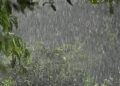 A sexta-feira (2) será marcada por chuva e temperaturas mais baixas em boa parte de Mato Grosso do Sul. A instabilidade que acompanha a passagem de uma frente fria mantém condições para pancadas de chuva e trovoadas, principalmente nas áreas sul e leste do Estado.  Em Campo Grande, o dia deve permanecer com muitas nuvens e chuva em diferentes períodos.  Os termômetros ficam próximos dos 19°C nas primeiras horas do dia e a máxima deve chegar a cerca de 25°C.  O sul do Estado também terá temperaturas mais amenas. Em Dourados, os termômetros devem ficar próximos dos 19°C pela manhã, enquanto a máxima fica na casa dos 29°C. Ponta Porã pode registrar mínima de 17°C e máxima ao redor dos 28°C.  No Pantanal, o cenário é diferente e o calor continua mais intenso. Corumbá deve amanhecer com cerca de 21°C, mas a temperatura pode subir para a faixa dos 35°C durante a tarde, mesmo com variação de nebulosidade e possibilidade de chuva.  Na região leste, Três Lagoas continua mais quente, com temperaturas próximas dos 21°C nas primeiras horas e máxima acima dos 30°C. Em Bonito, no sudoeste, a previsão aponta temperaturas entre aproximadamente 19°C e 27°C.  A sexta ainda pode ter chuva mais intensa em pontos isolados do Centro-Oeste, com possibilidade de trovoadas e rajadas de vento. A tendência é de manutenção da instabilidade em parte de Mato Grosso do Sul ao longo do dia. As informações são do Inmet (Instituto Nacional de Meteorologia).